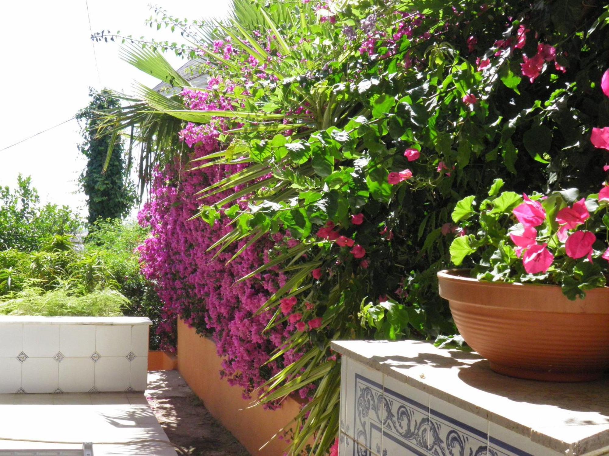 Ferienwohnung Casa Rural La Torreta Corbera de Alcira Exterior foto